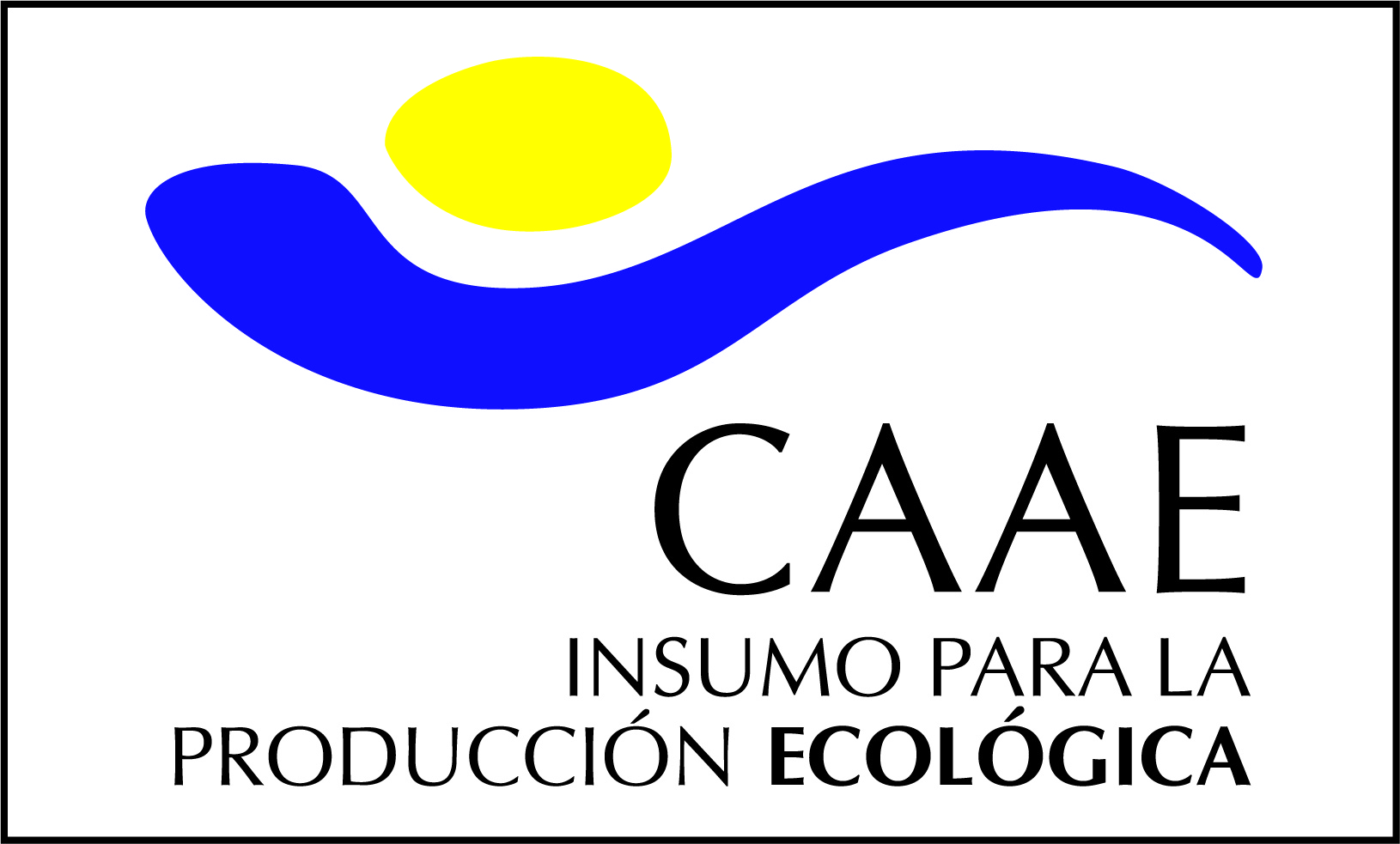 Certificado CAAE Certificado CAAE