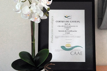Premio Producción ecológica Premio Producción ecológica